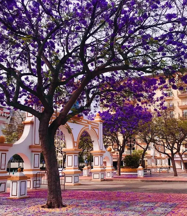 Daire Higueronrentals Casa Kiki Málaga